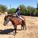 teaching tricks. Gabe