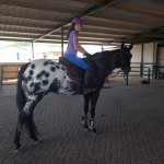 riding english. Rio