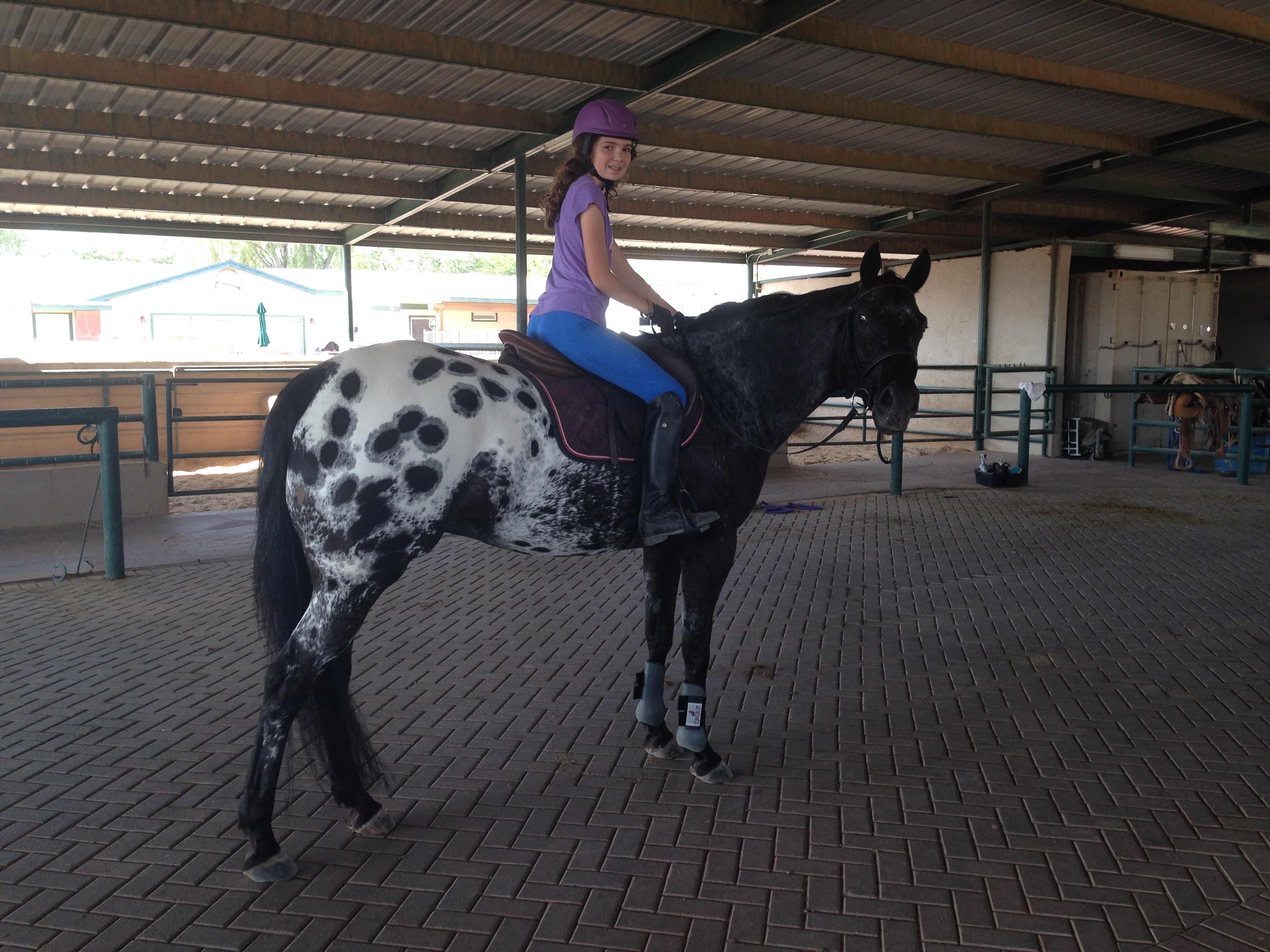 riding english. Rio