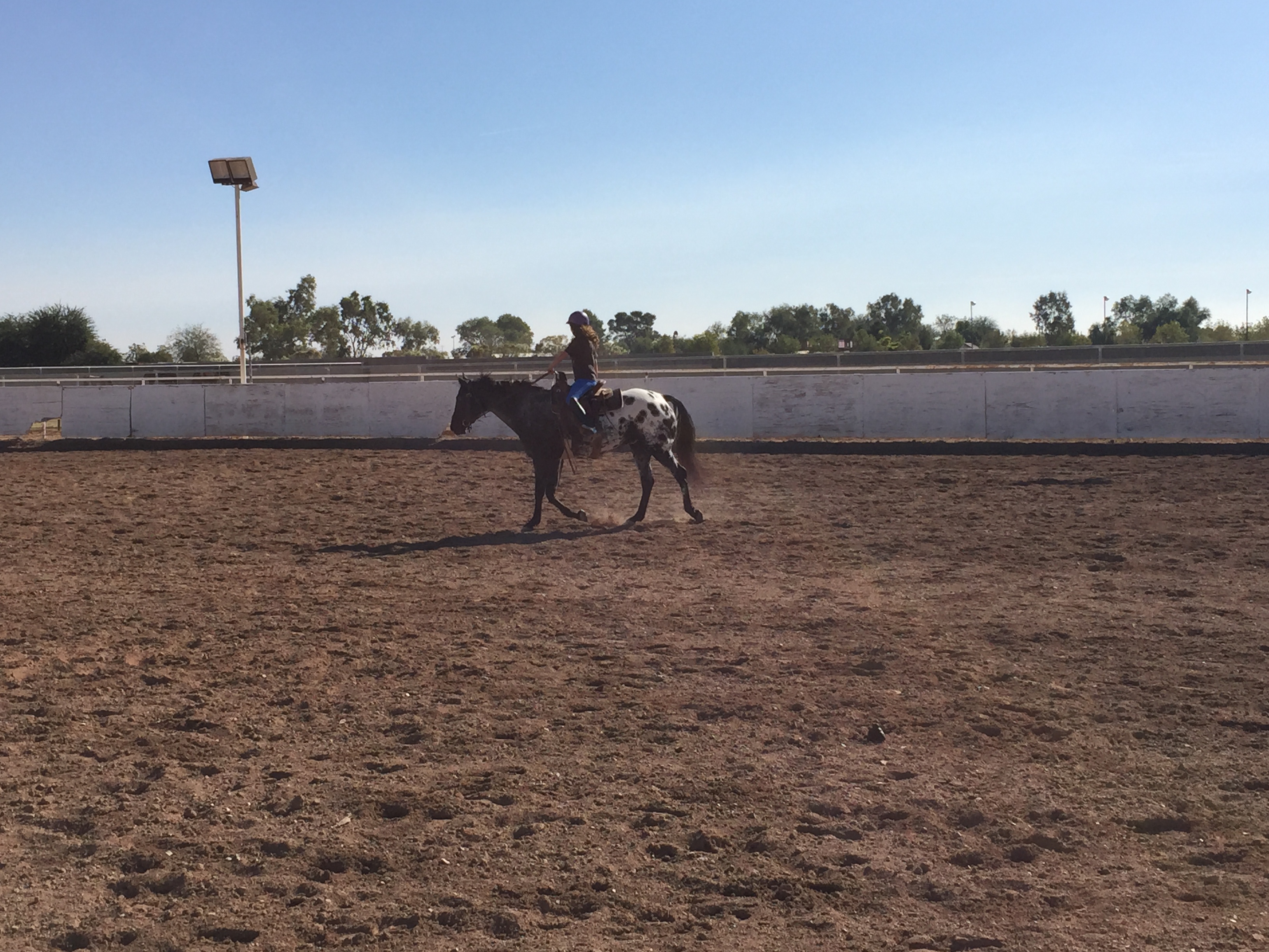riding western. Rio
