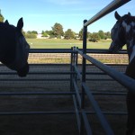 Sunset time!. Rio & Calvie