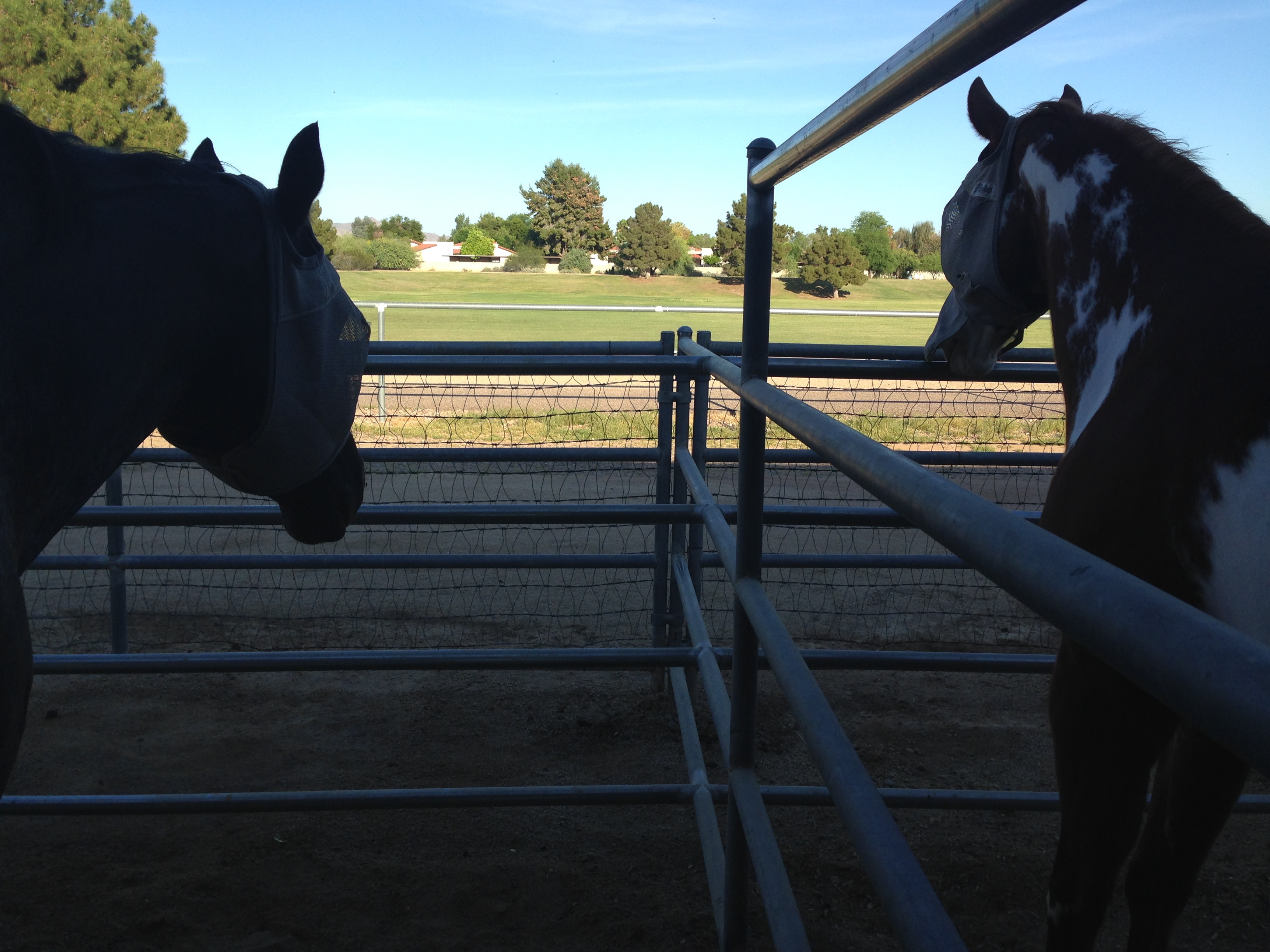 Sunset time!. Rio & Calvie