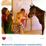I'm a trainer now!. instagram