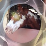 I'm bootiful!. Calvie